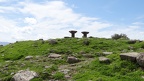 Assos