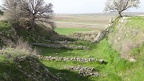 DSC00313