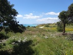 DSC04558