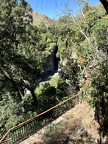 IMG 1548