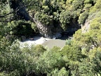 IMG 1549