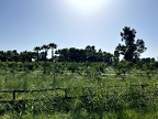 IMG 1677