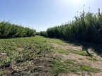 IMG 1679