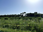 IMG 1676