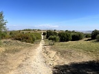 IMG 1375