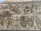IMG 1474